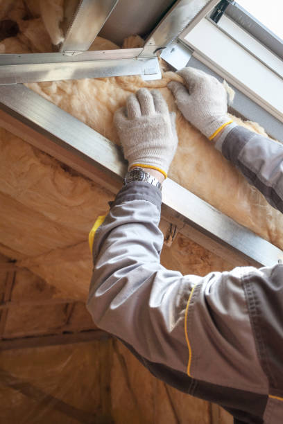 Best Fiberglass Insulation in Fredonia, AZ